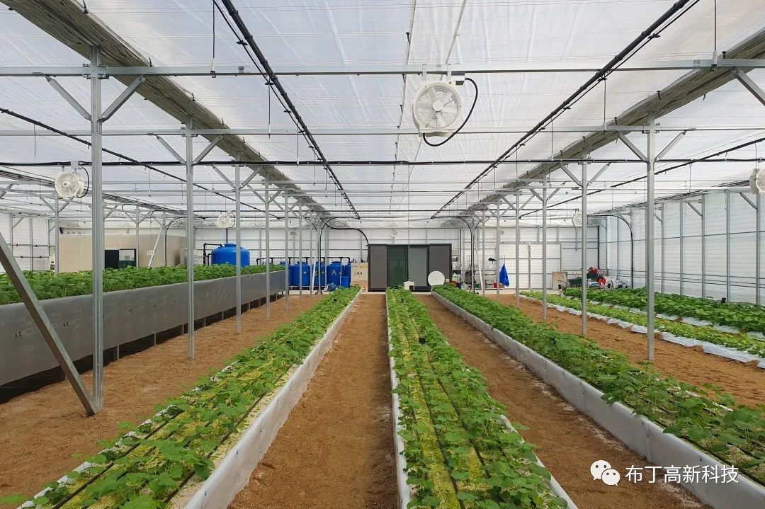 韓國首爾植物溫棚